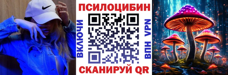 Псилоцибиновые грибы Psilocybe  Семёнов 